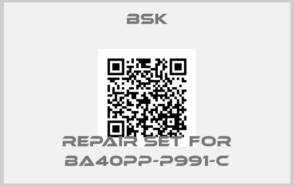 Bsk-Repair set for BA40PP-P991-Cprice