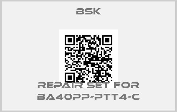 Bsk-Repair set for BA40PP-PTT4-Cprice