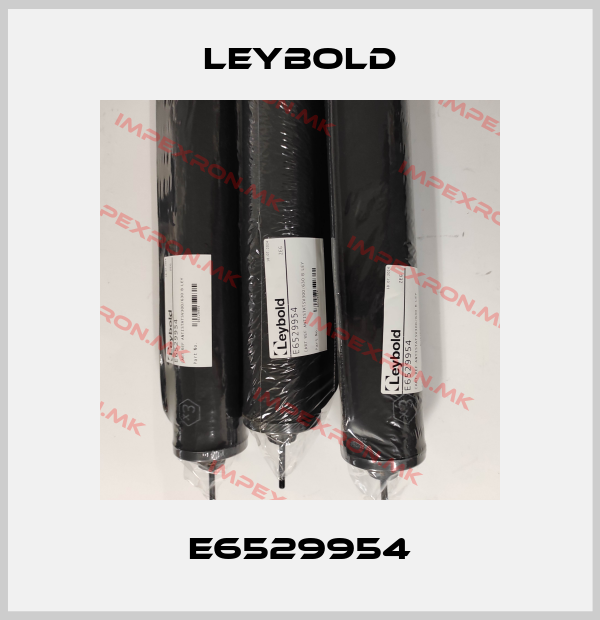 Leybold-E6529954price