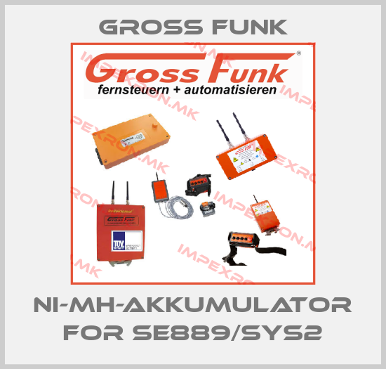 Gross Funk-Ni-MH-Akkumulator for SE889/SYS2price