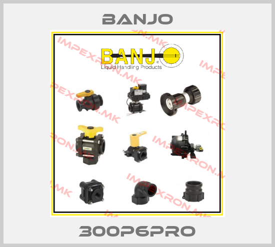 Banjo-300P6PROprice