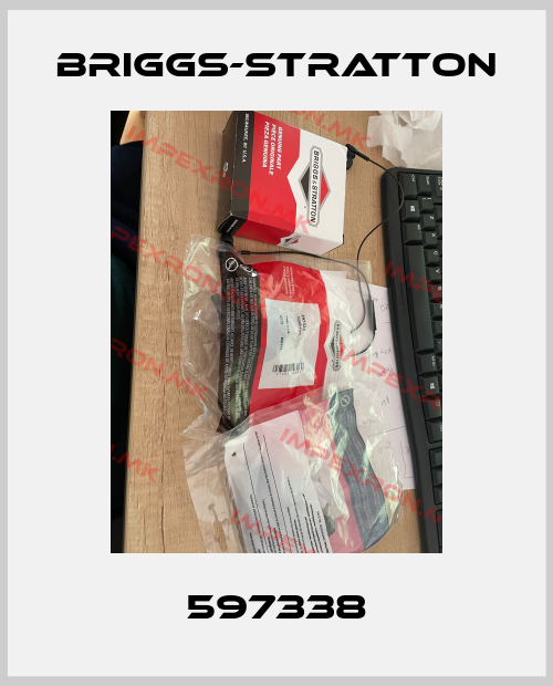 Briggs-Stratton-597338price