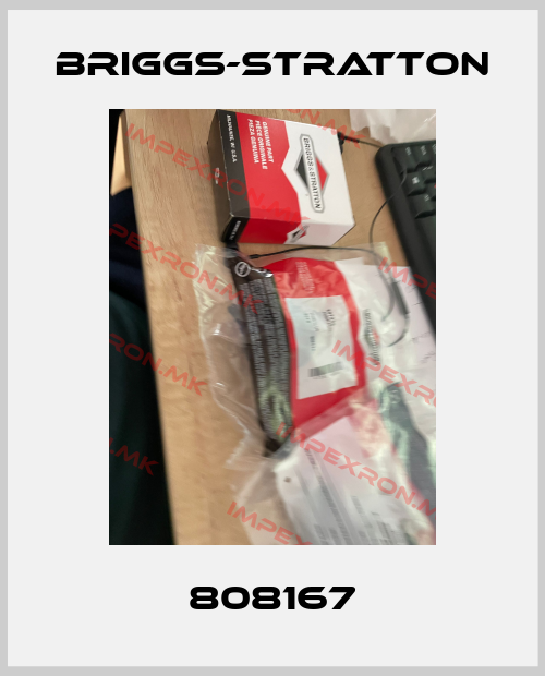 Briggs-Stratton-808167price