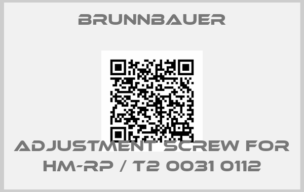 Brunnbauer-Adjustment screw for HM-RP / T2 0031 0112price