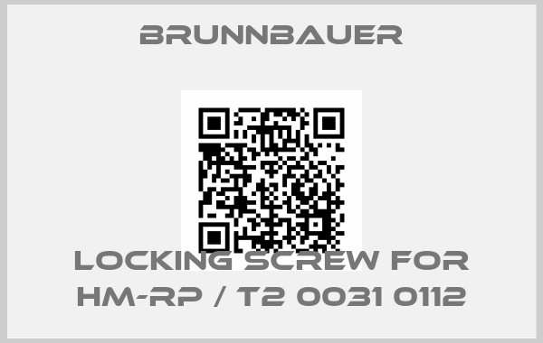 Brunnbauer-Locking screw for HM-RP / T2 0031 0112price