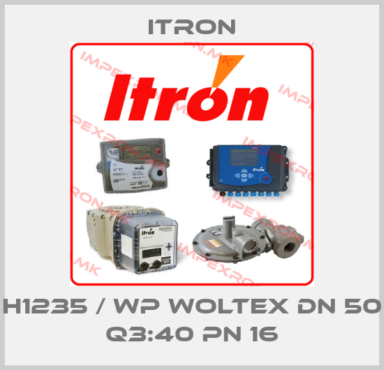Itron-H1235 / WP Woltex DN 50 Q3:40 PN 16price