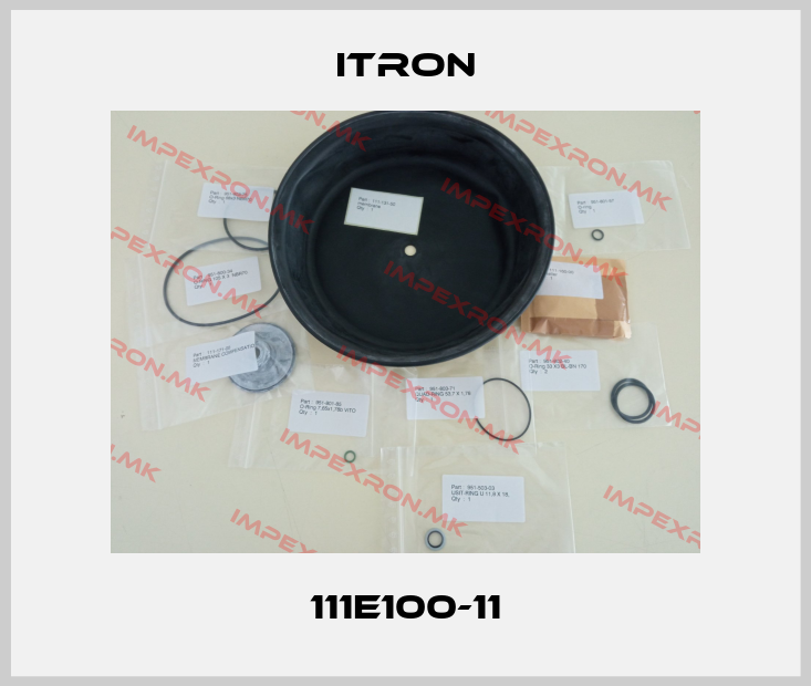 Itron-111E100-11price