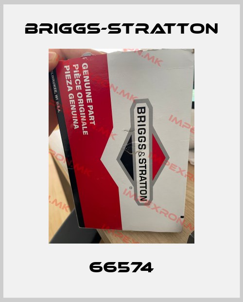 Briggs-Stratton-66574price