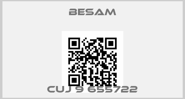 Besam-CUJ 9 655722price