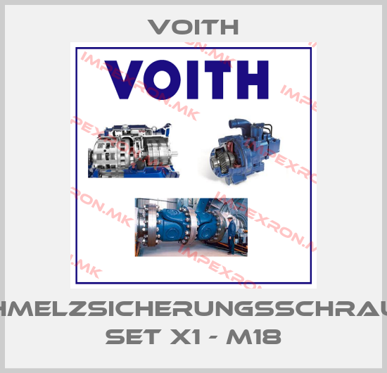 Voith-Schmelzsicherungsschraube Set X1 - M18price