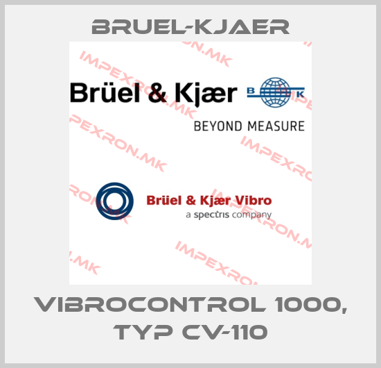 Bruel-Kjaer-VIBROCONTROL 1000, Typ CV-110price
