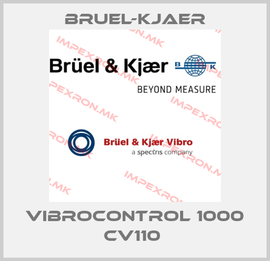 Bruel-Kjaer-VIBROCONTROL 1000 CV110 price