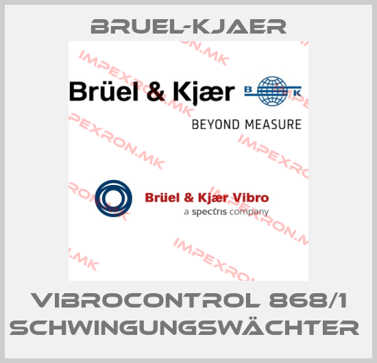 Bruel-Kjaer-VIBROCONTROL 868/1 SCHWINGUNGSWÄCHTER price