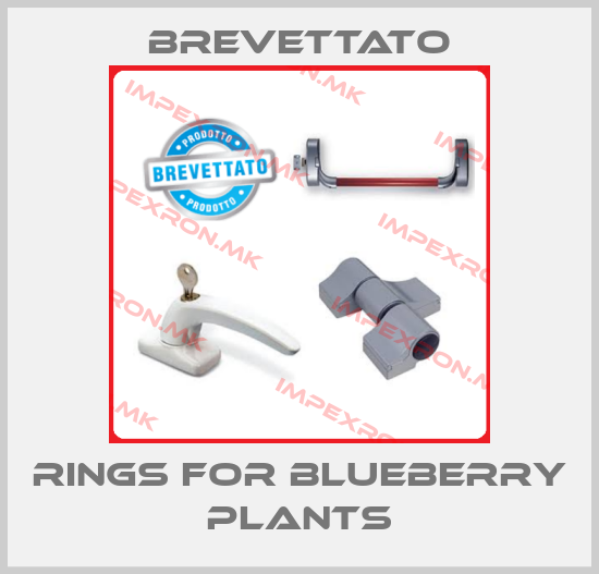 Brevettato-Rings for blueberry plantsprice