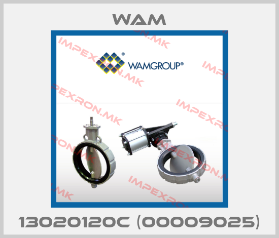 Wam-13020120C (00009025)price