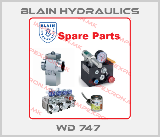 Blain Hydraulics Europe