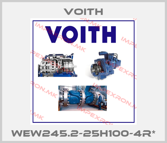 Voith-WEW245.2-25H100-4R*price