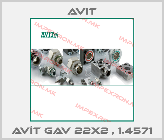 Avit-AVİT GAV 22x2 , 1.4571price