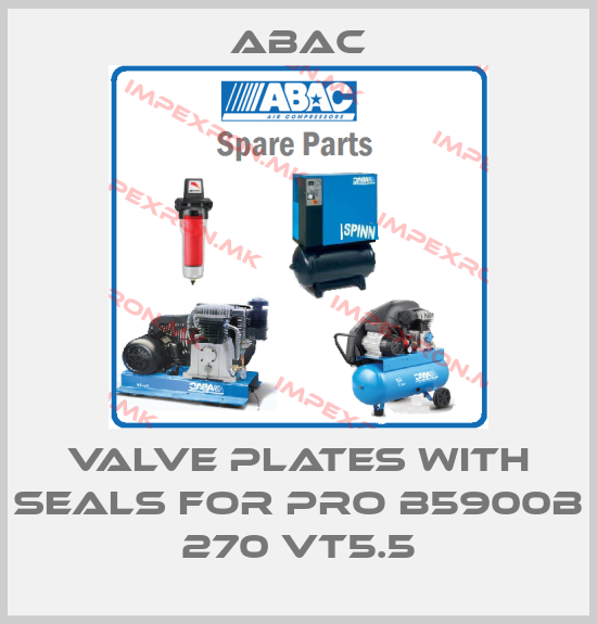ABAC-valve plates with seals for PRO B5900B 270 VT5.5price