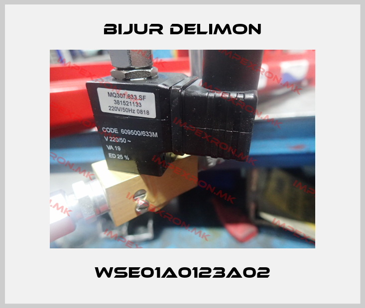 Bijur Delimon-WSE01A0123A02price