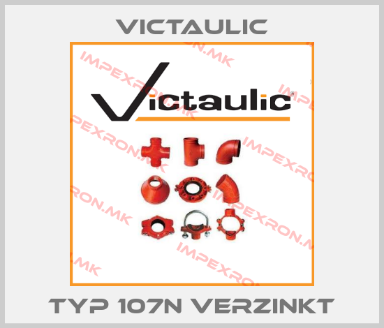 Victaulic-TYP 107N verzinktprice