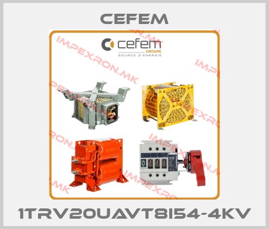 Cefem-1TRV20UAVT8I54-4KVprice