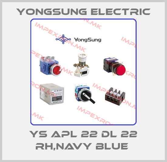 YongSung Electric Europe