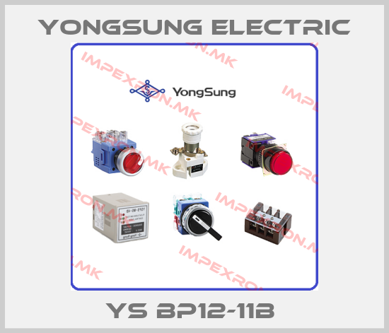 YongSung Electric Europe