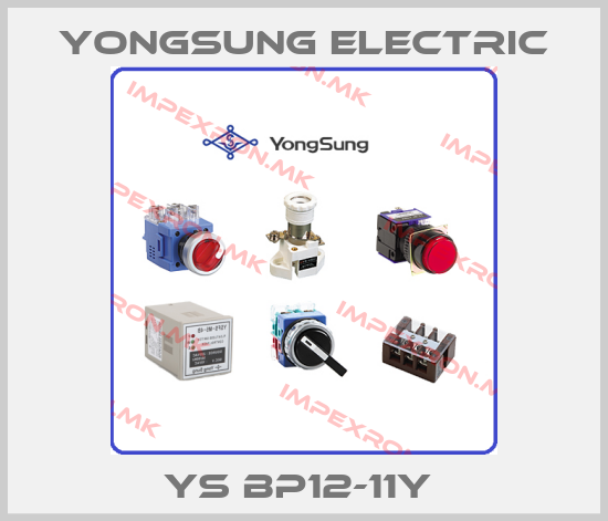 YongSung Electric Europe