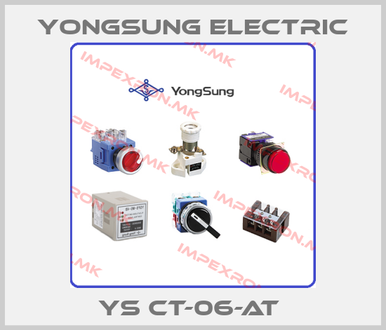 YongSung Electric Europe