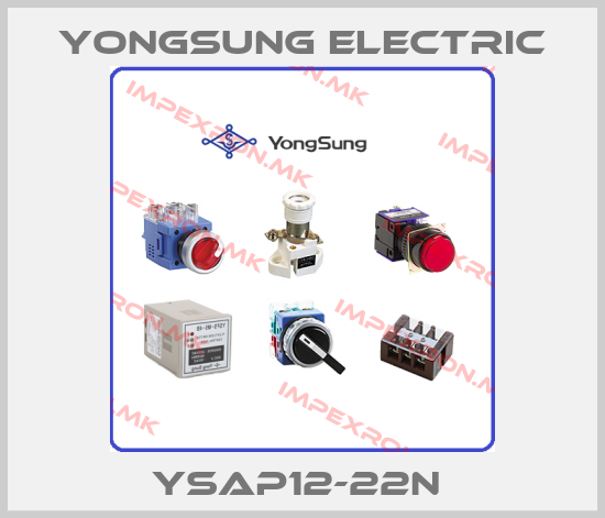 YongSung Electric Europe