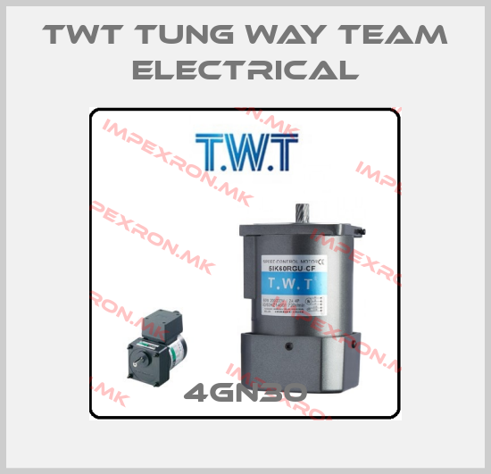 TWT TUNG WAY TEAM ELECTRICAL Europe