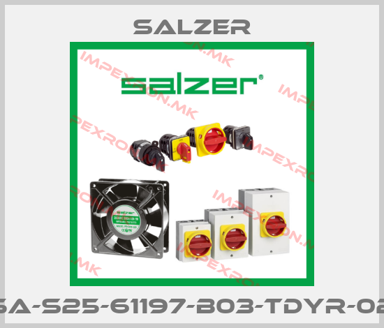 Salzer-25A-S25-61197-B03-TDYR-025price
