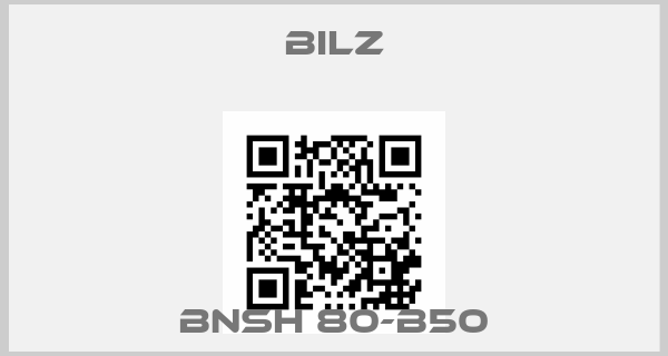 BILZ-BNSH 80-B50price
