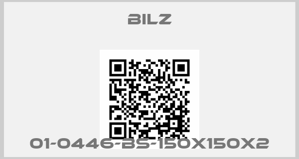 BILZ-01-0446-BS-150X150X2price