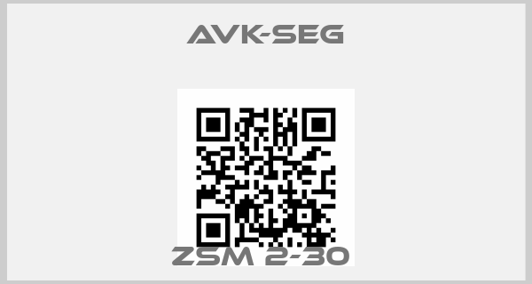 AVK-SEG-ZSM 2-30 price