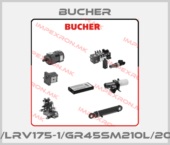 Bucher-UDA230/LRV175-1/GR45SM210L/20-400-50price