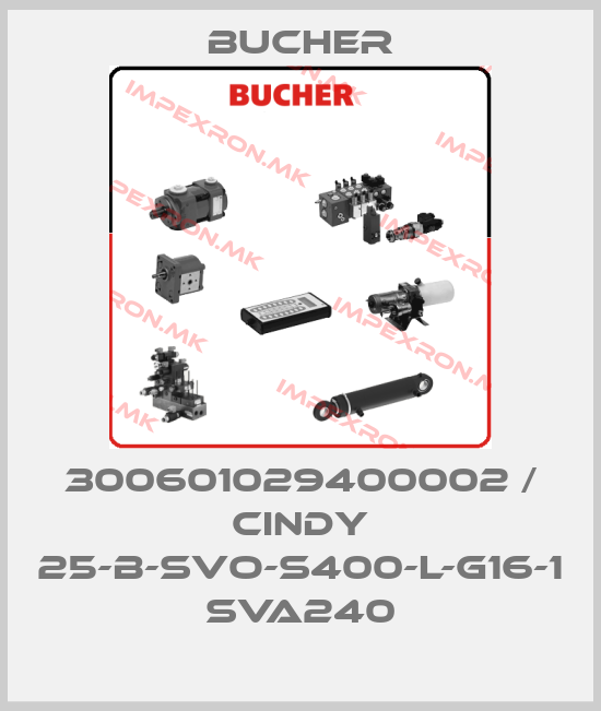 Bucher-300601029400002 / CINDY 25-B-SVO-S400-L-G16-1 SVA240price