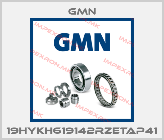 Gmn-19HYKH619142RZETAP41price