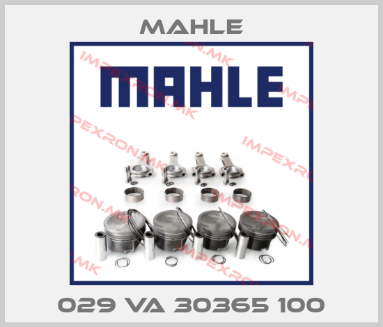 MAHLE-029 VA 30365 100price