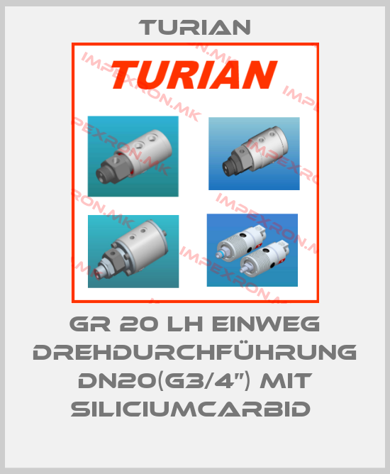 Turian-GR 20 LH Einweg Drehdurchführung DN20(G3/4”) mit Siliciumcarbid price