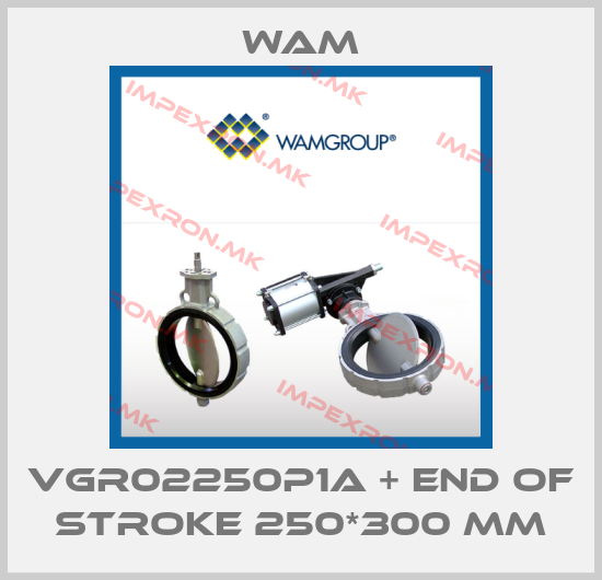 Wam-VGR02250P1A + end of stroke 250*300 mmprice