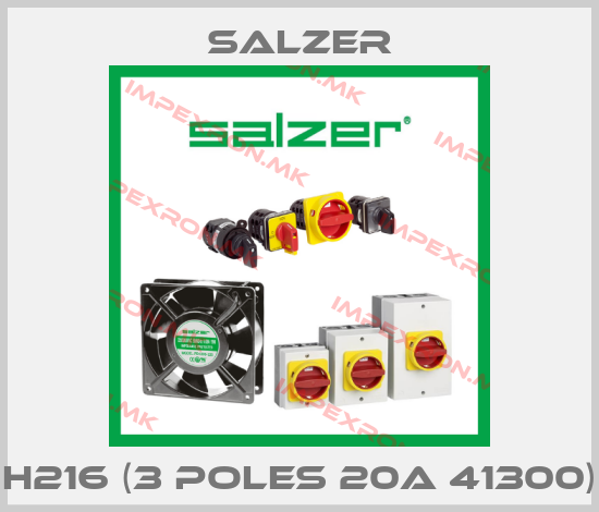 Salzer-H216 (3 poles 20A 41300)price