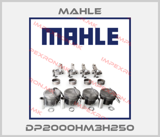MAHLE-DP2000HM3H250price