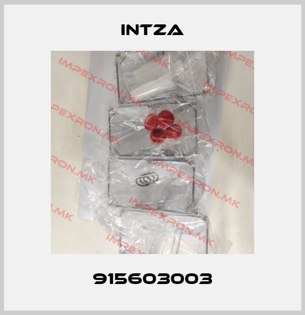 Intza-915603003price