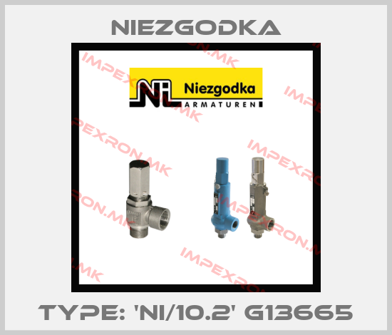 Niezgodka-Type: 'Ni/10.2' G13665price
