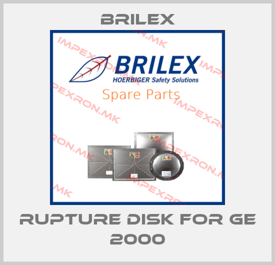 Brilex-rupture disk for GE 2000price