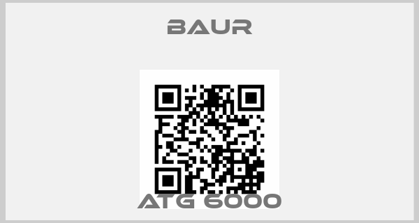 Baur-ATG 6000price