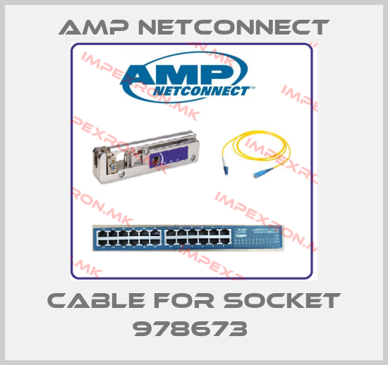 AMP Netconnect-Cable for Socket 978673 price