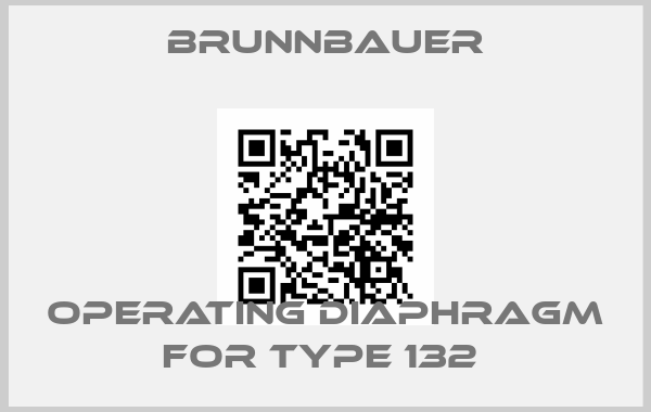 Brunnbauer-OPERATING DIAPHRAGM FOR TYPE 132 price